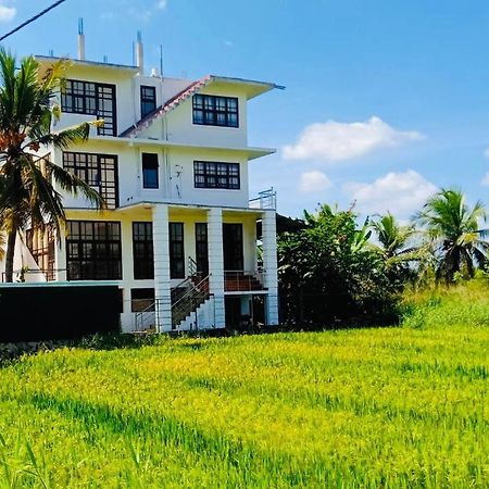 Freedom Of Green Rice View 아누라다푸라 외부 사진