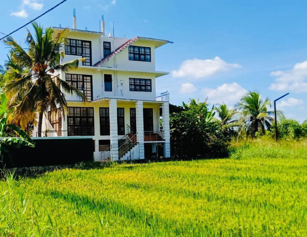 Freedom Of Green Rice View 아누라다푸라 외부 사진