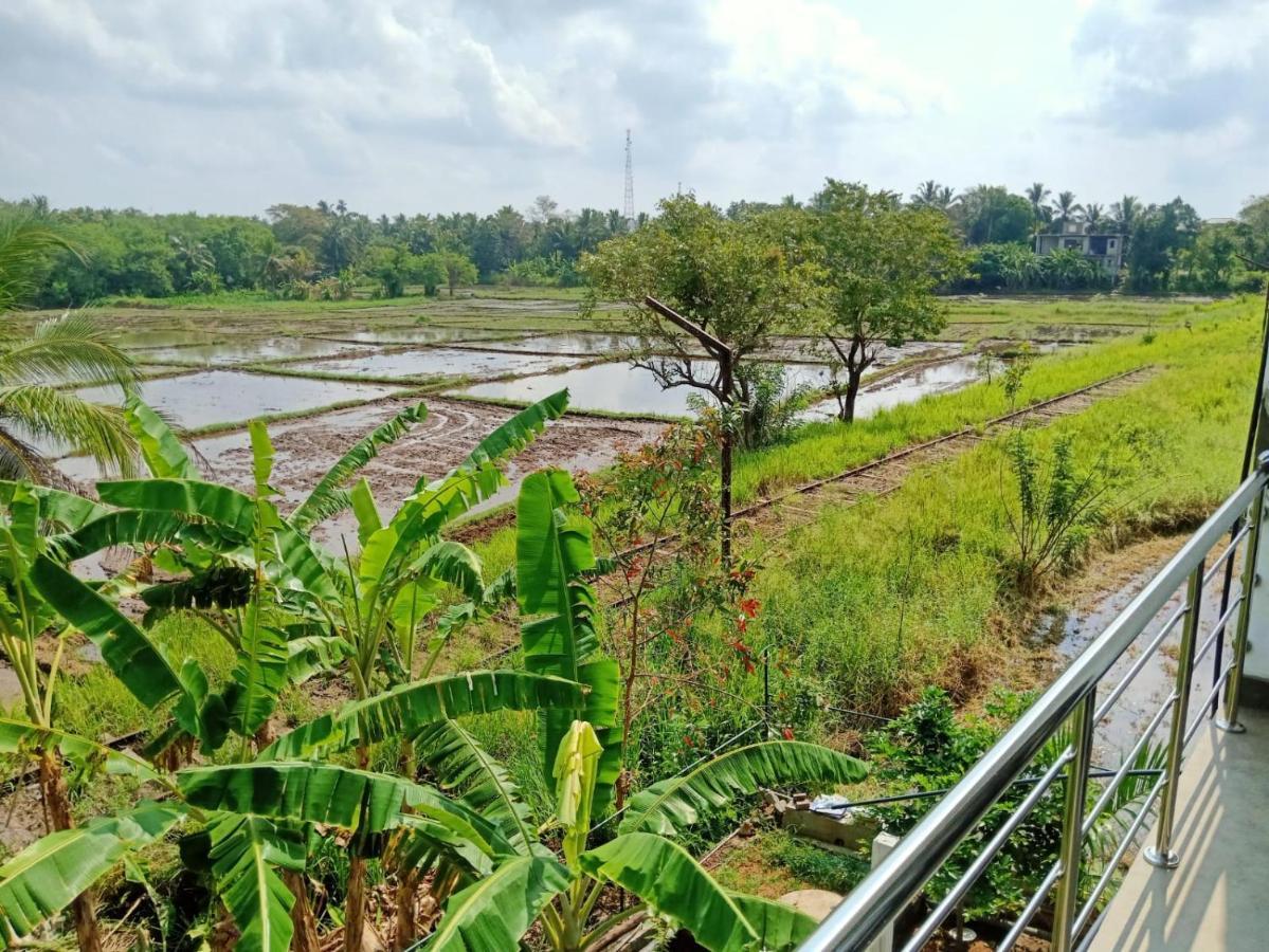 Freedom Of Green Rice View 아누라다푸라 외부 사진