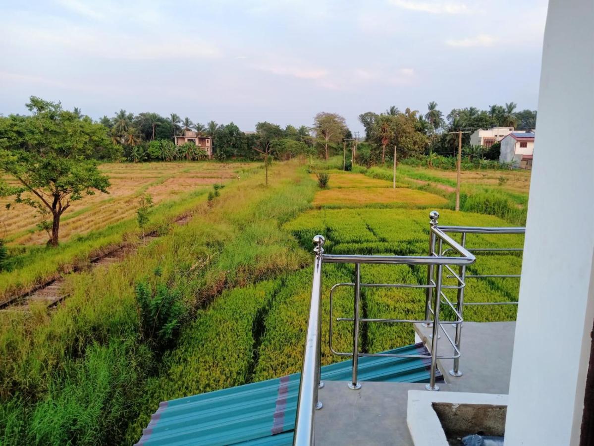 Freedom Of Green Rice View 아누라다푸라 외부 사진