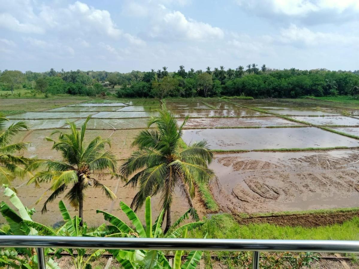Freedom Of Green Rice View 아누라다푸라 외부 사진